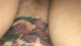 Big Ass Latina Pussy Ripped And Smeared