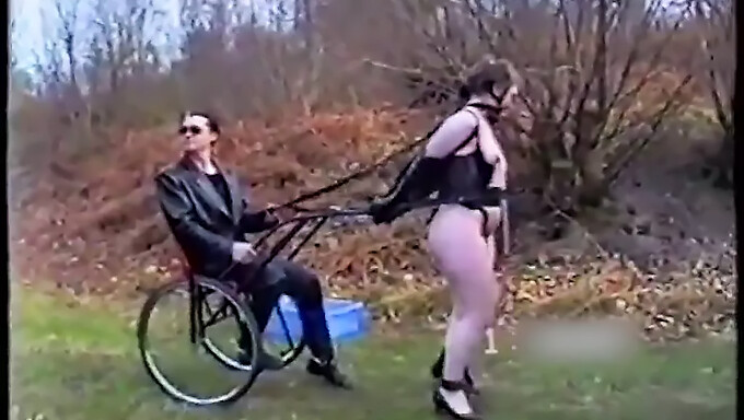 Bdsm Tréning: Ponygirls Ako Otrokyne