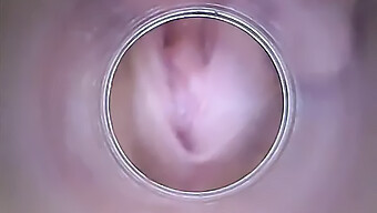 Una Diciottenne Amatoriale Mostra La Sua Vagina Secca E Il Collo Dell'Utero