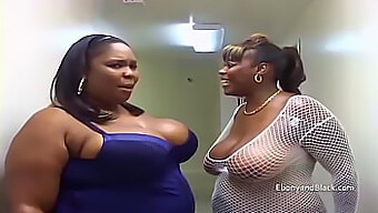 Ebony Heavyweight Women Take Turns Sucking On A Big Cock