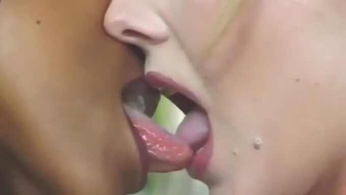 Blacked Besar Dan Makan Pussy Hitam Besar Dalam Video Ini